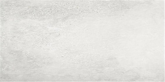 IMPORTILES AMSTEL 25x50 BLANCO